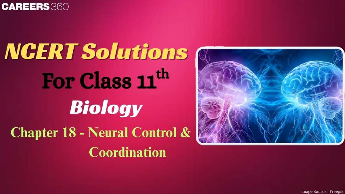 NCERT Solutions for Class 11 Biology Chapter 18 - Neural Control and Coordination